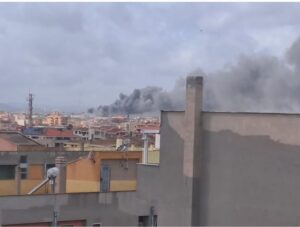 incendio porto torres