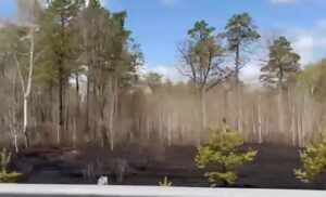 incendio russia vostochny