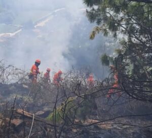 incendio vidracco-baldissero piemonte