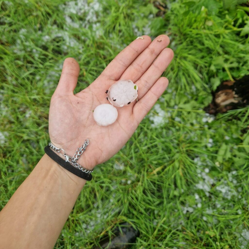 maltempo agricoltura piemonte