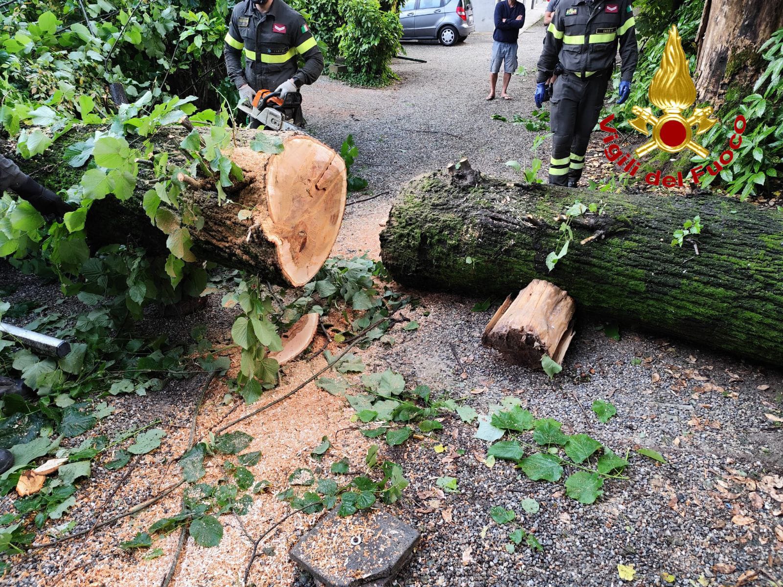 Maltempo Campania, forti piogge e vento in Irpinia: allagamenti e alberi caduti