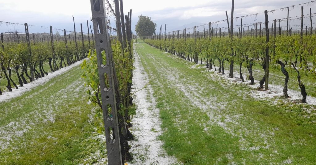 maltempo grandine pinerolo piemonte