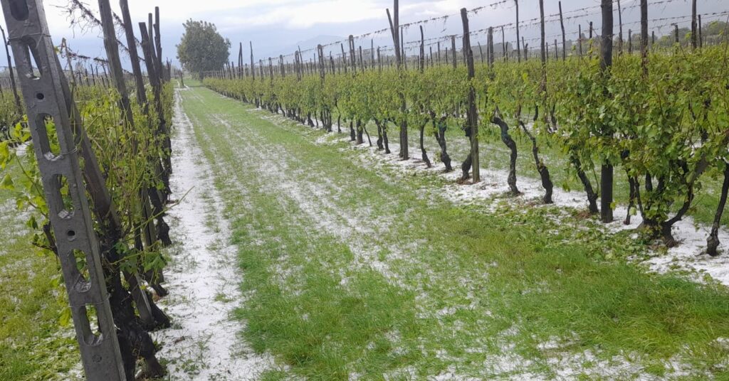 maltempo grandine pinerolo piemonte
