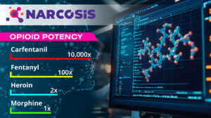 narcosis enea