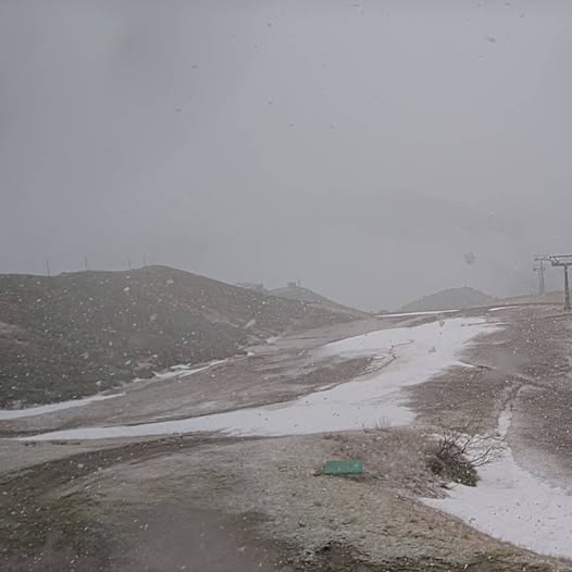 neve limone pancani piemonte