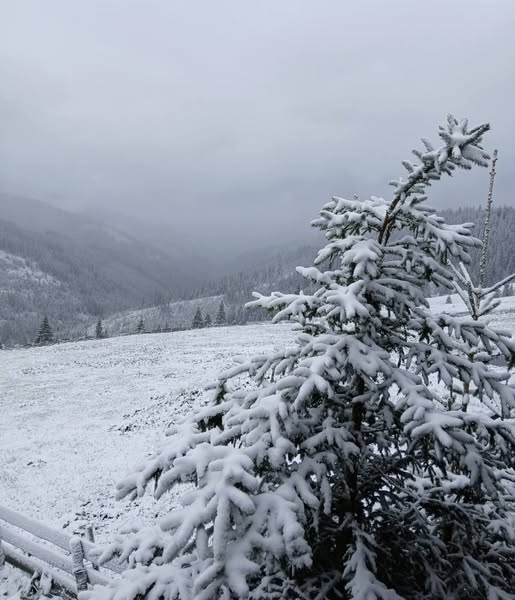 neve romania