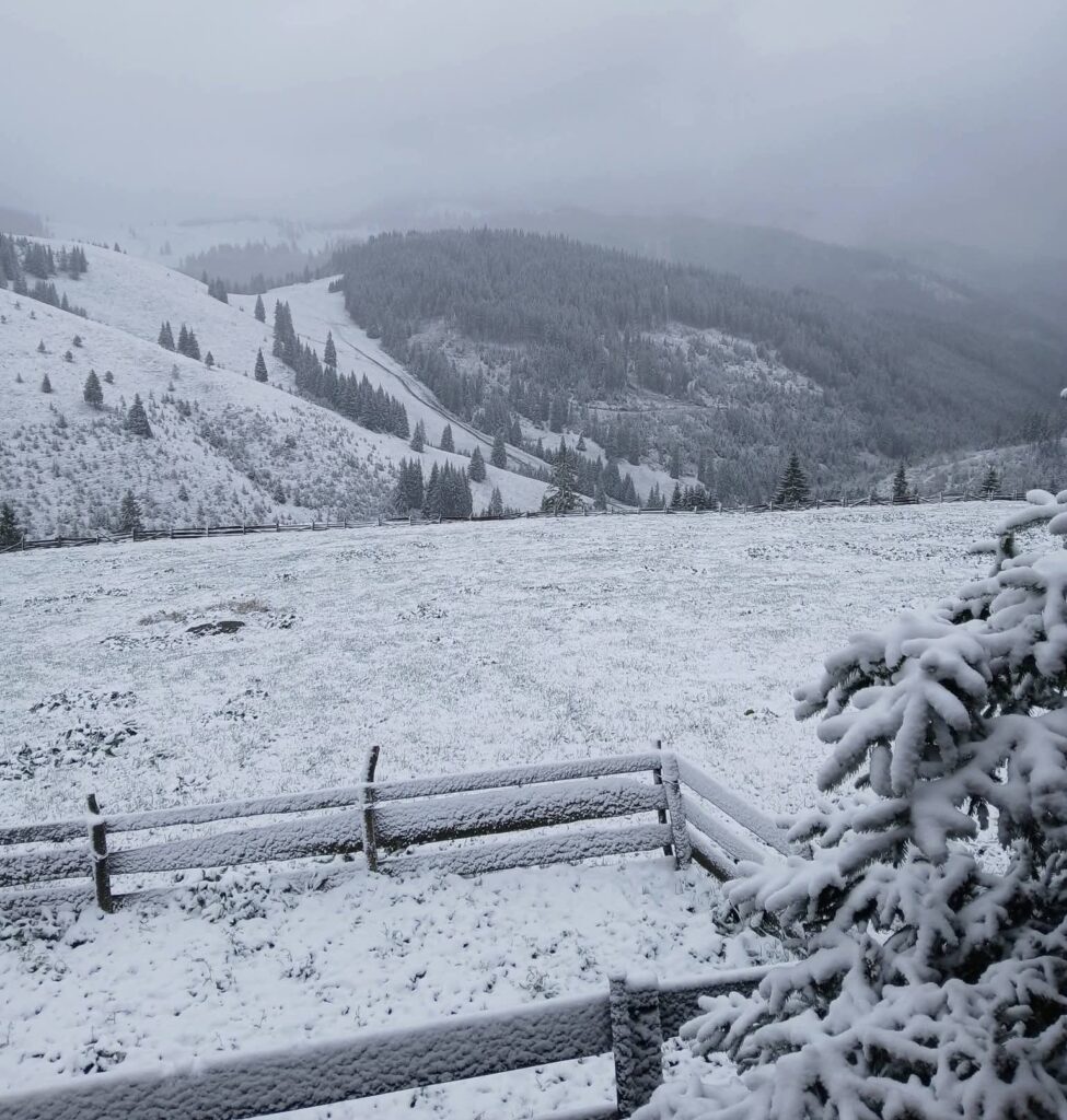 neve romania