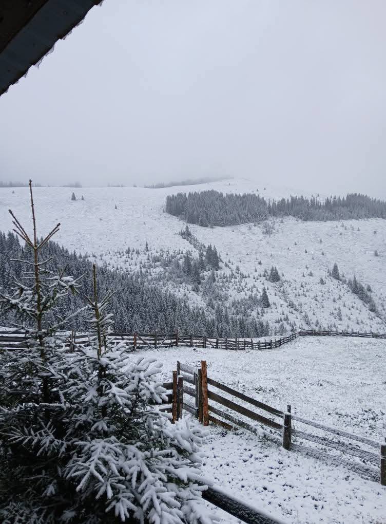 neve romania