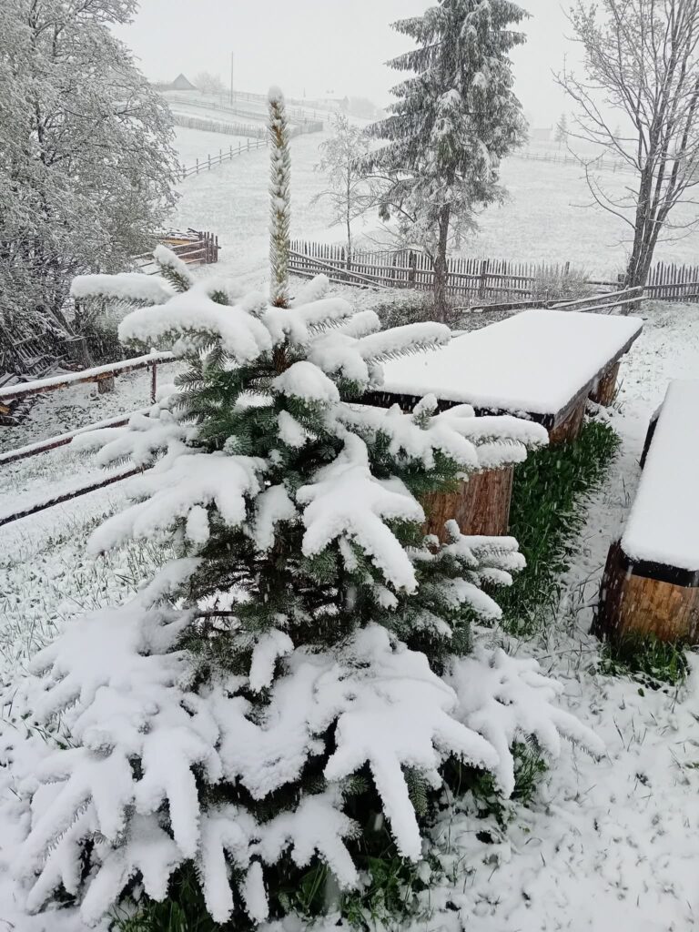 neve romania