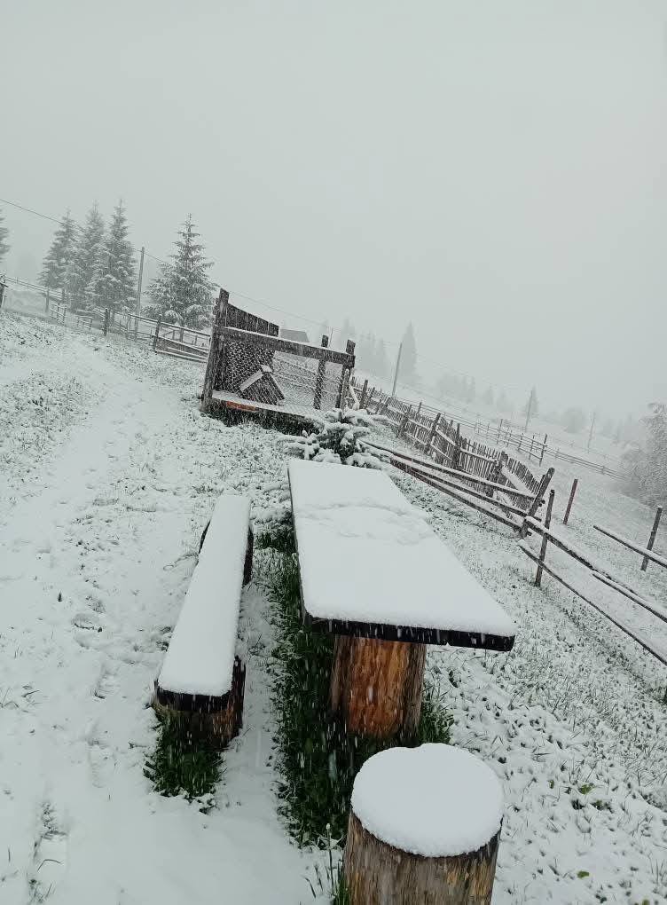 neve romania