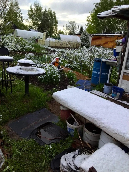 neve russia