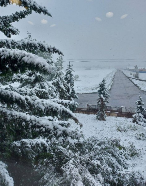 neve russia