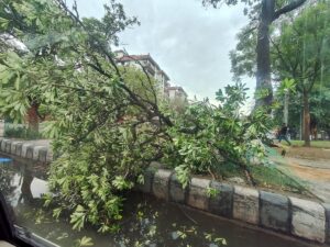 tempesta delhi