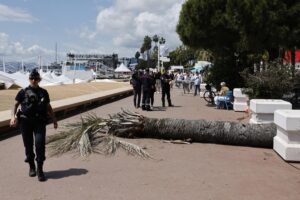 vento festival cannes