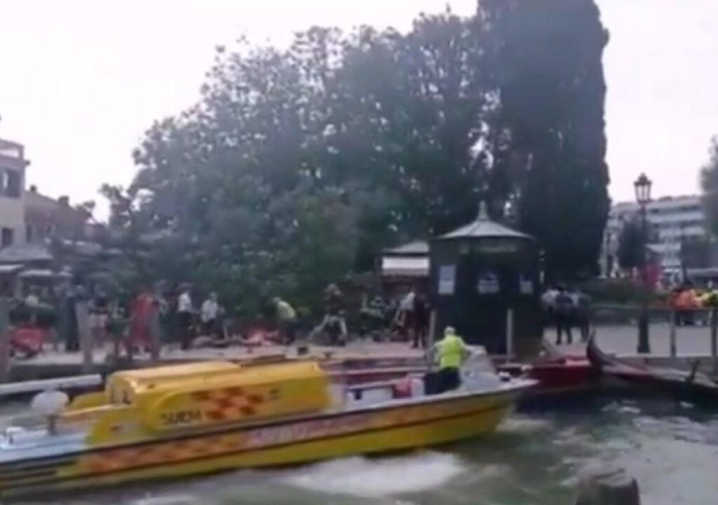 Albero Piazzale Roma Venezia
