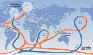 Amoc circolazione globale