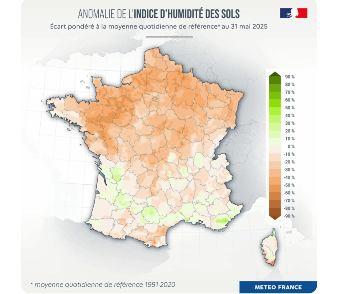Anomalia umidità suolo Francia