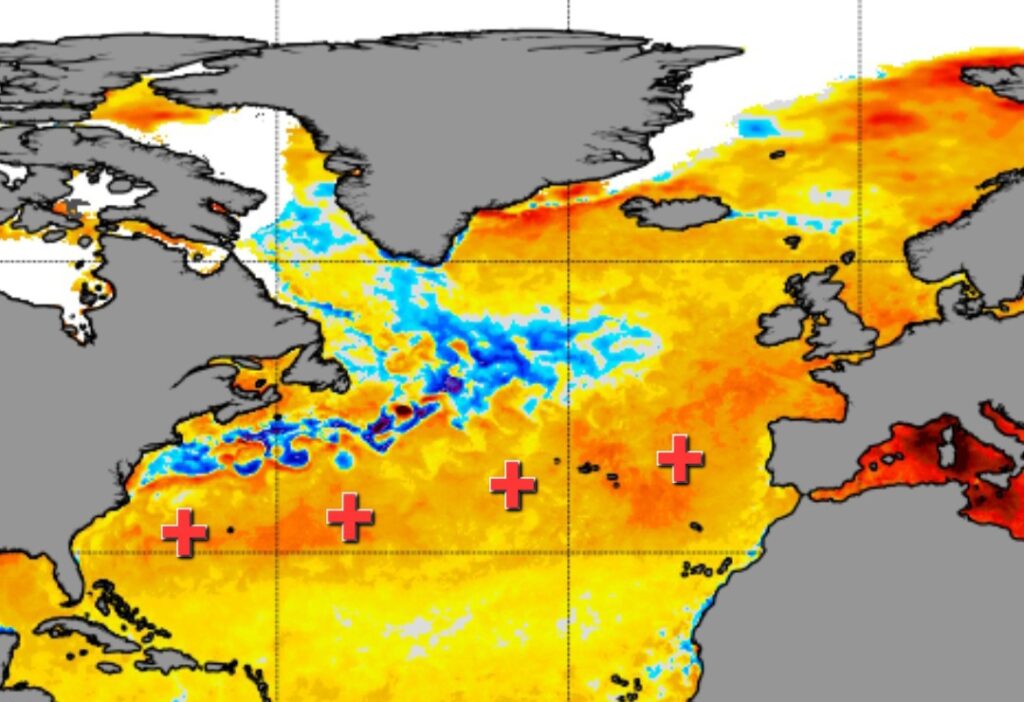 Anomalie sst oceano Atlantico 15 giugno