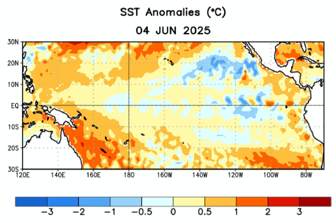 Anomalie SST oceano Pacifico giugno