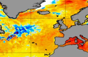 Atlantico cold blob