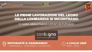 Convegno legno