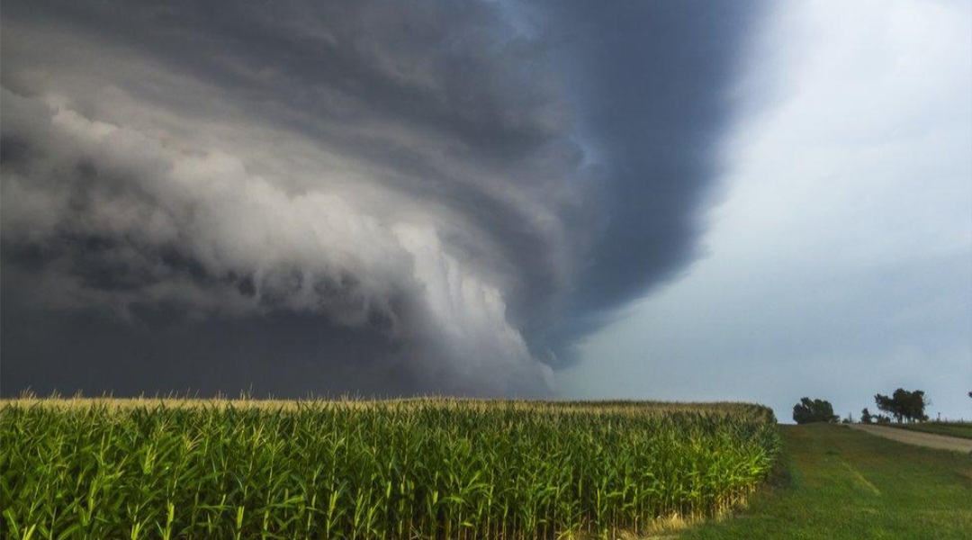 Derecho USA