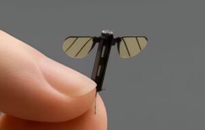Drone zanzara Cina