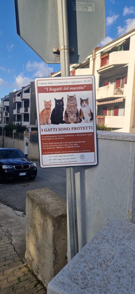 Gatti Reggio Calabria