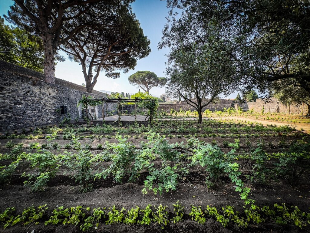 giardino di ercole Pompei