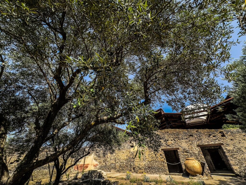 giardino di ercole Pompei
