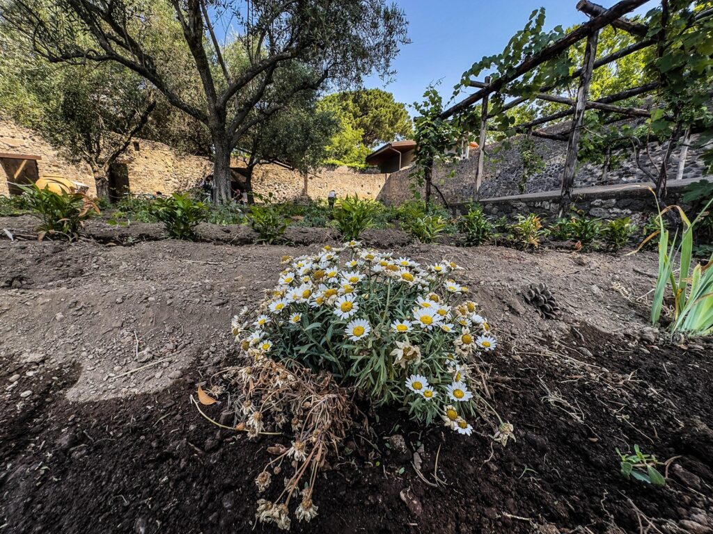 giardino di ercole Pompei