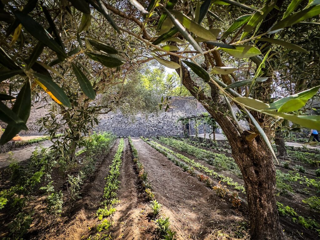 giardino di ercole Pompei