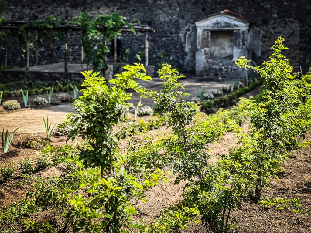 giardino di ercole Pompei