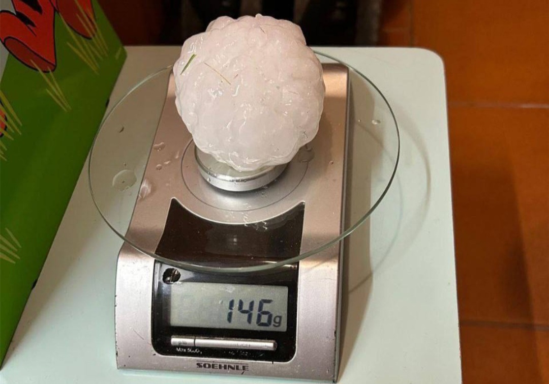 Grandine Francenigo TV