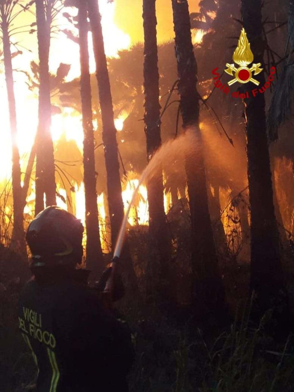 Incendi Calabria