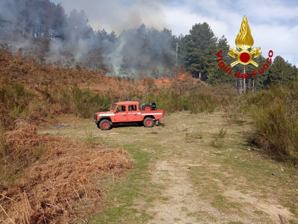 Incendi Calabria