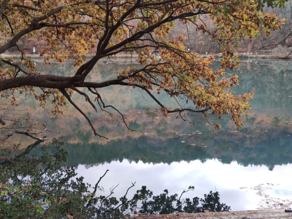 Lago Sinizzo