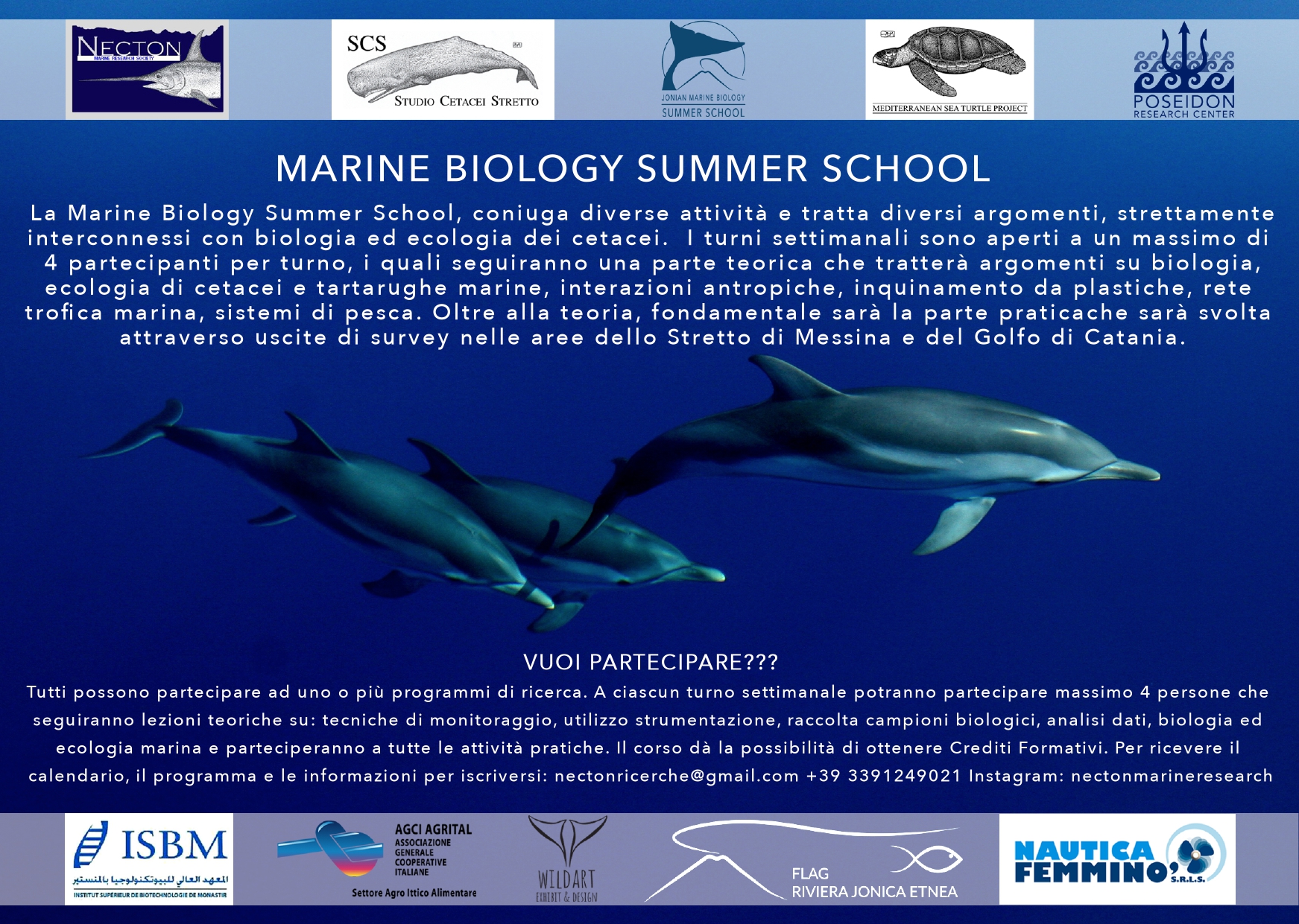 Marine Biology Summer School 2025