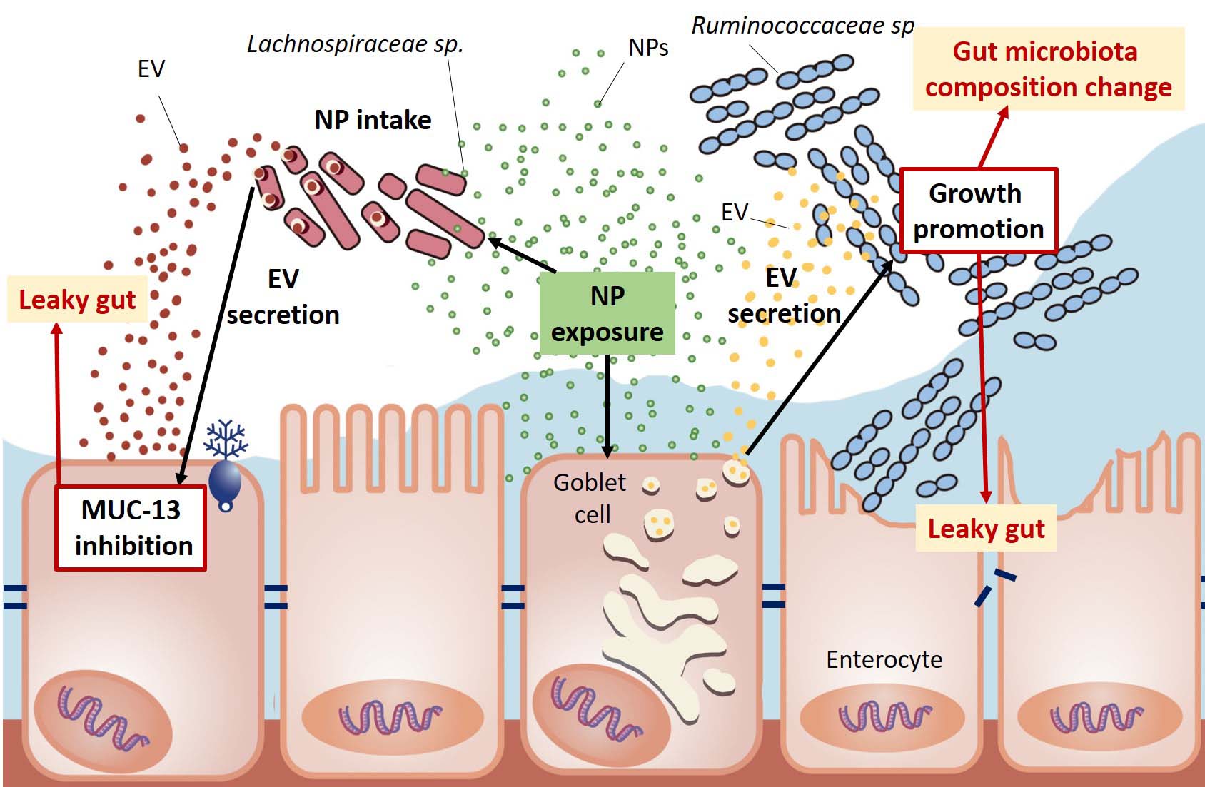 Nanoplastiche