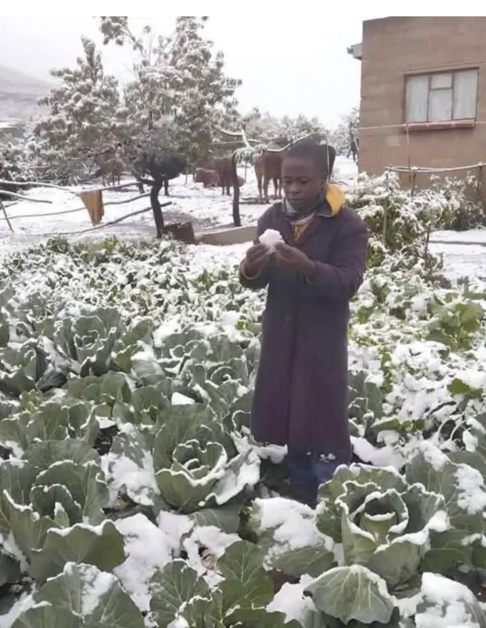 Neve Sudafrica