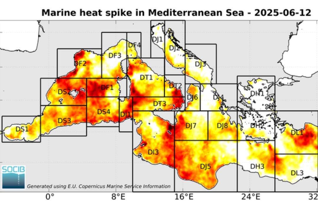 Ondate di calore marine 12 giugno
