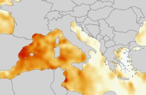 SST Mediterraneo 12 giugno 2025