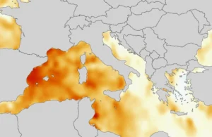 SST Mediterraneo 12 giugno 2025