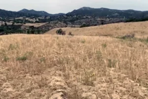 siccità sardegna anbi