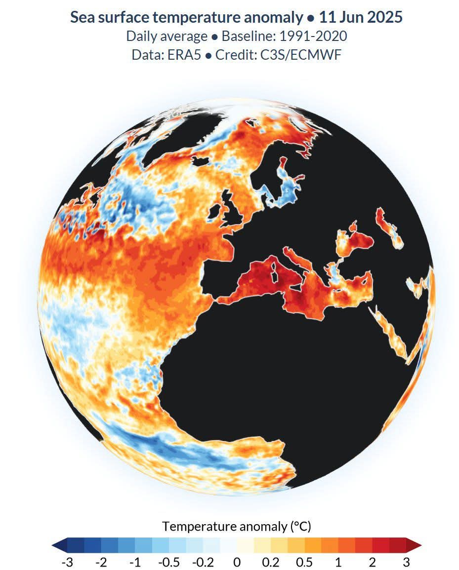 SST Mediterraneo anomalie