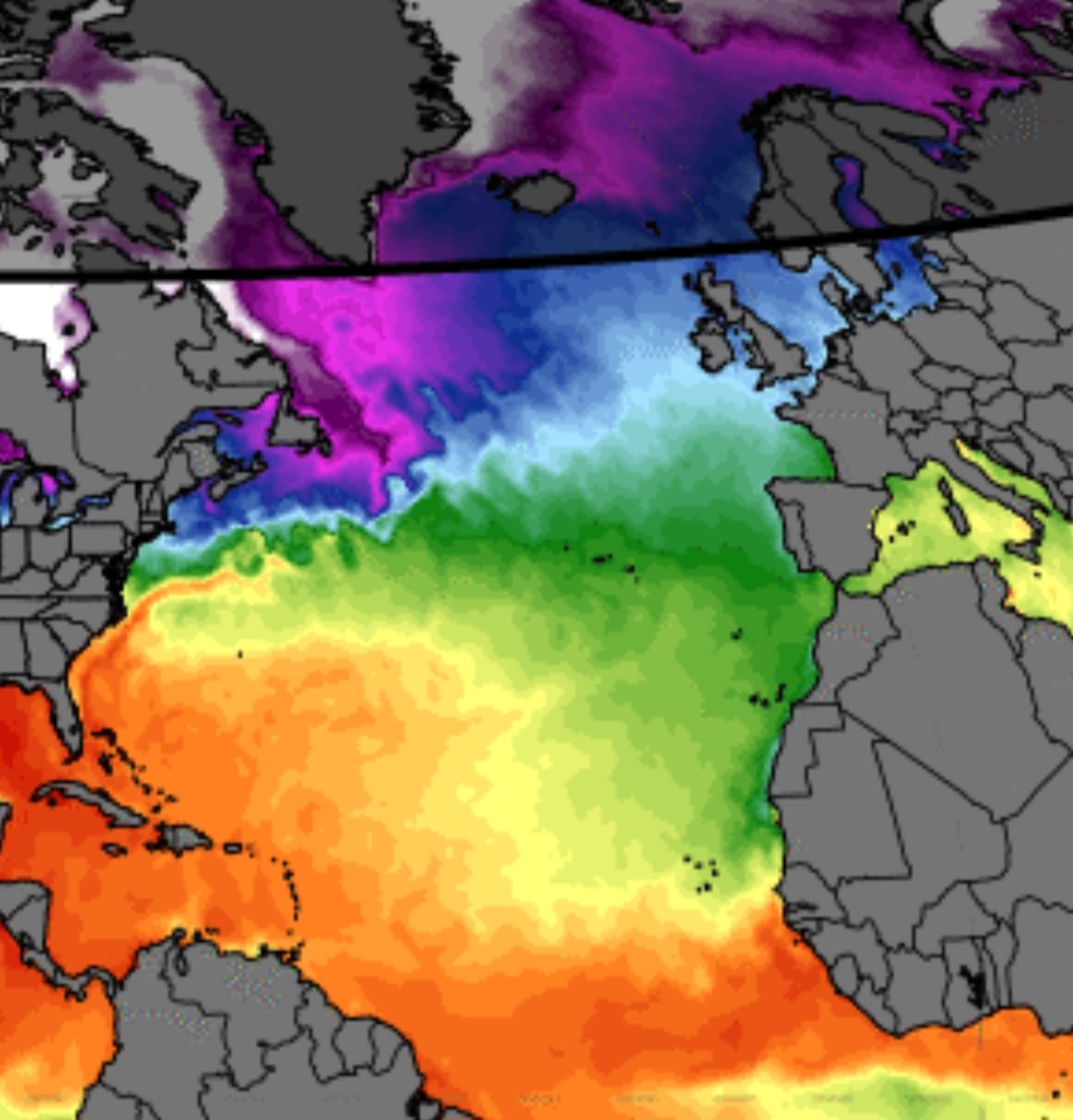 Temperatura superficiale oceano Atlantico