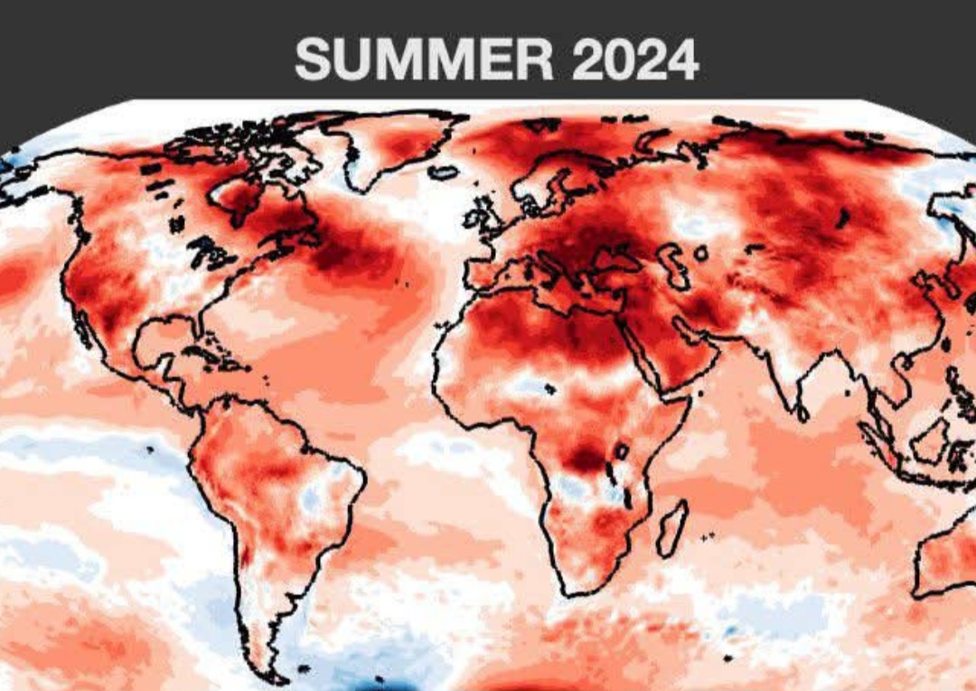 Temperature estate 2024