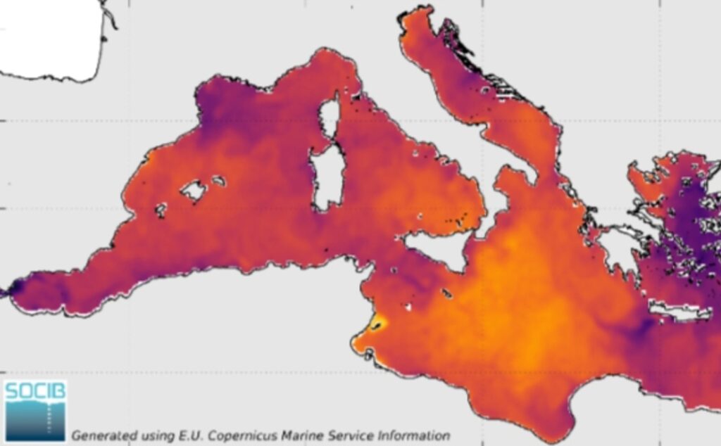 Temperature superficiali Mediterraneo 20 giugno