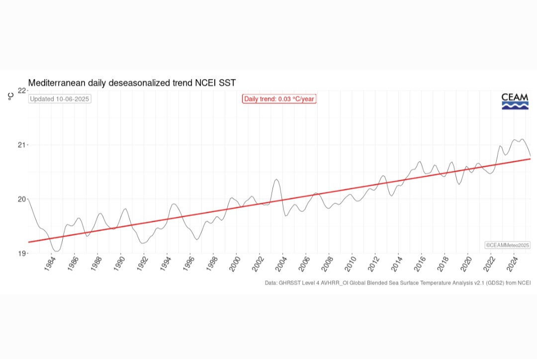 Trend riscaldamento Mediterraneo