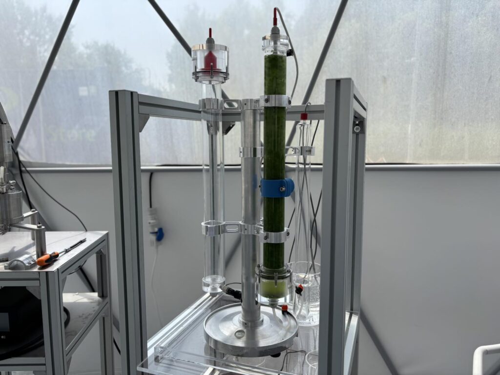 Venice Microlife Space Lab